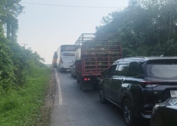 Truk Terguling di Pagar Seng, Jalinsum Jambi–Palembang Lumpuh Total