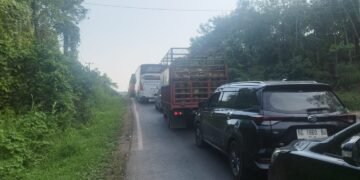 Truk Terguling di Pagar Seng, Jalinsum Jambi–Palembang Lumpuh Total