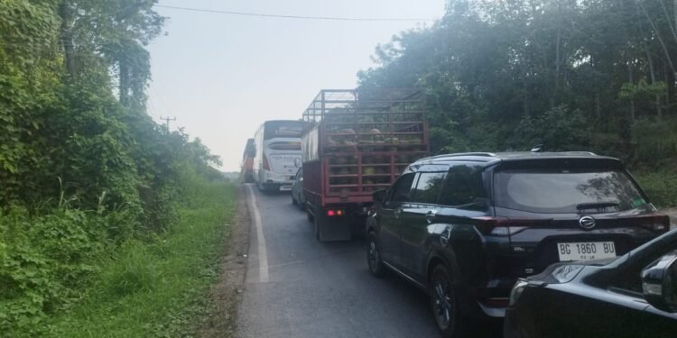 Truk Terguling di Pagar Seng, Jalinsum Jambi–Palembang Lumpuh Total