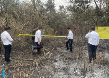 Kebakaran Lahan Seluas Satu Hektare di Muaro Jambi Diselidiki Polisi, Penyebab Masih Didalami