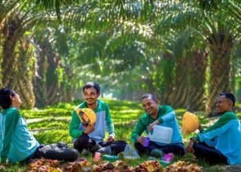 Harga Sawit Pasaman Barat Tembus Rp3.972/Kg, Ini Daftar Lengkap Harga TBS per 2 Agustus 2026