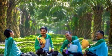 Harga Sawit Pasaman Barat Tembus Rp3.972/Kg, Ini Daftar Lengkap Harga TBS per 2 Agustus 2026