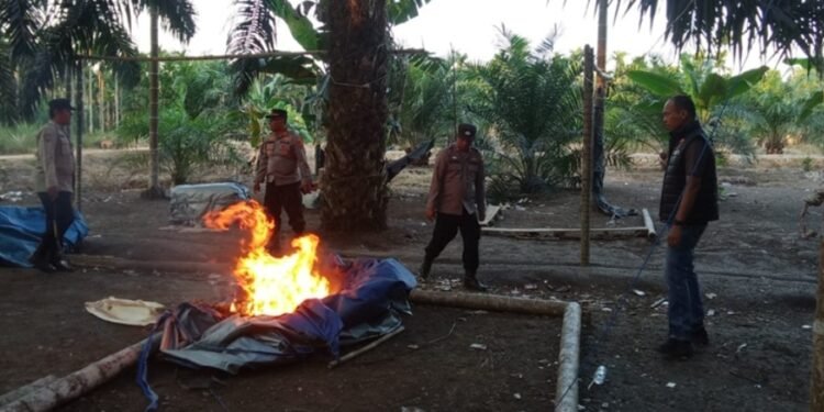 Polisi Bongkar Arena Sabung Ayam di Muara Sabak Timur, Cegah Lokasi Kembali Jadi Tempat Judi