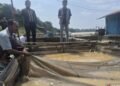Ikan Keramba Berguguran, Puluhan Ton Mati: Sungai Batanghari dalam Ancaman