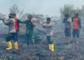 170 Hektare Lahan Gambut di Muaro Jambi Terbakar, Petugas Berjibaku Cegah Api Meluas
