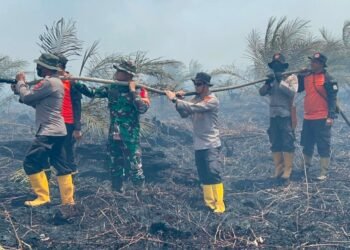 170 Hektare Lahan Gambut di Muaro Jambi Terbakar, Petugas Berjibaku Cegah Api Meluas