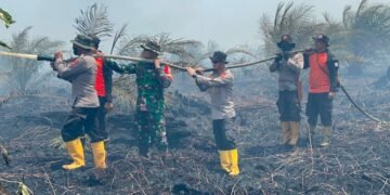 170 Hektare Lahan Gambut di Muaro Jambi Terbakar, Petugas Berjibaku Cegah Api Meluas